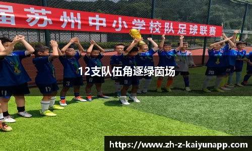 12支队伍角逐绿茵场